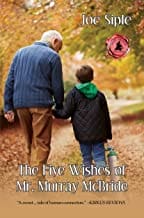 5 Wishes Book Cover