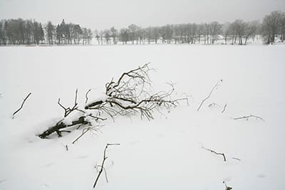 winter snow field